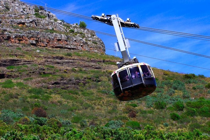 Cape Town Table Mountain and Peninsula Tour - Table Mountain delivers the big view