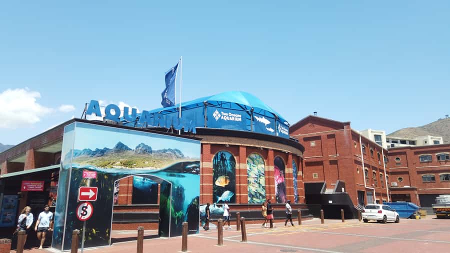 Cape Town: Table Mountain and Robben Island Tour - Who should book this Cape Town day tour?