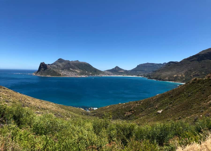 Cape Town: Table Mountain, Boulders Beach, & Cape Point Tour - Boulders Beach brings you close to African penguins