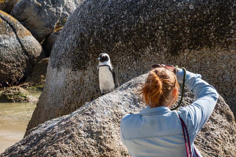 Cape Town: Table Mountain & Cape of Good Hope Full-Day Tour - Why this full-day route works