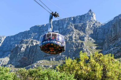 Table Mountain & Cape of Good Hope Full-Day Tour