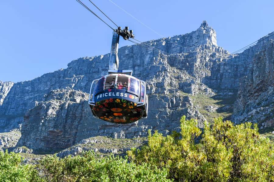 Cape Town: Table Mountain & Cape of Good Hope Full-Day Tour - Table Mountain before the crowds and coast