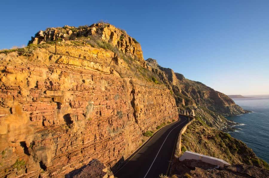 Cape Town: Table Mountain, Cape of Goodhope & Penguins Tour - Five things to know before booking