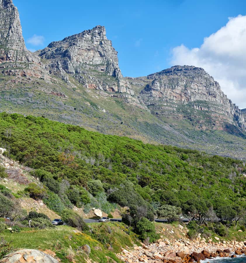 Cape Town: Table Mountain, Cape of Goodhope & Penguins Tour - Why this eight-hour Cape Town tour works