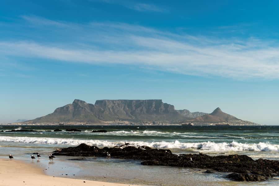 Cape Town: Table Mountain, Cape of Goodhope & Penguins Tour - What to bring for the eight-hour route