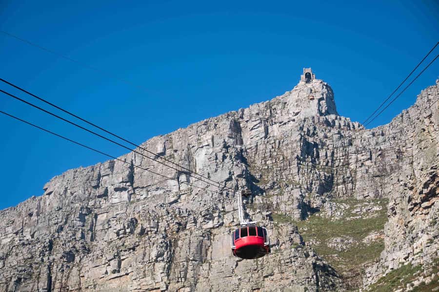 Cape Town: Table Mountain, Cape Point, and Penguins Tour - Why this one-day route works