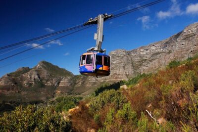 Cape Town Table Mountain Cape Point Penguins Full-Day Private Tour