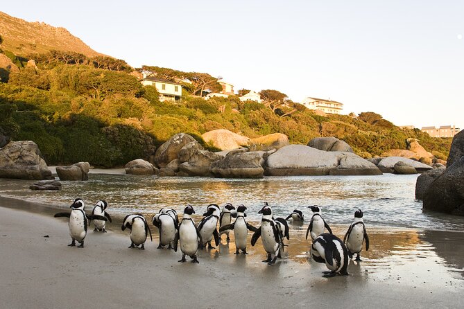 Cape Town Table Mountain Cape Point Penguins Full-Day Private Tour - The Old Cape Point Lighthouse