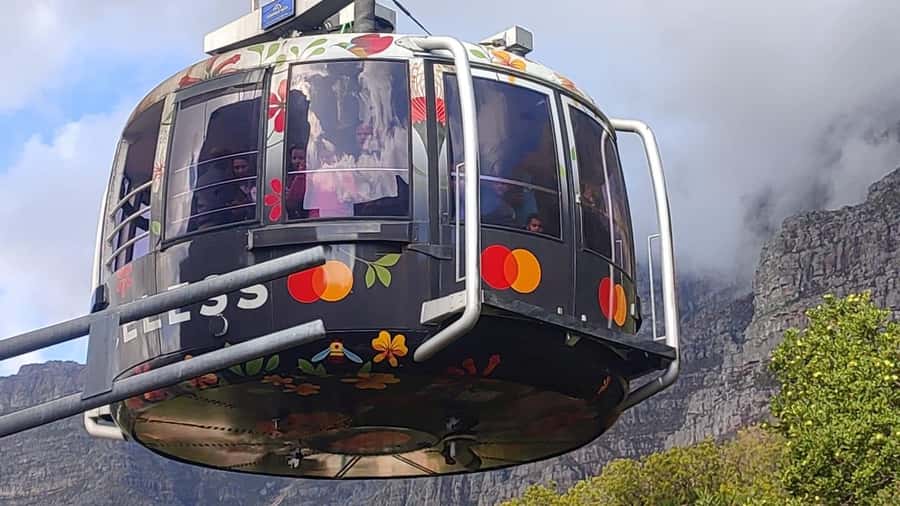 Cape Town: Table Mountain, Cape Point, & Penguins Group Tour - Key points at a glance