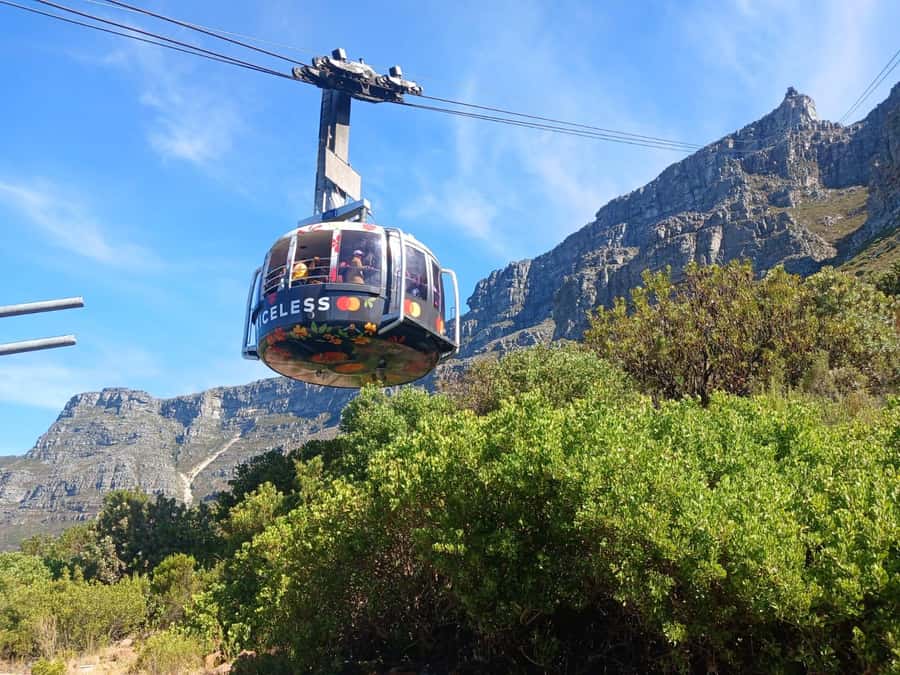 Cape Town: Table Mountain, Cape Point, & Penguins Group Tour - Who should book this Cape Peninsula day tour?