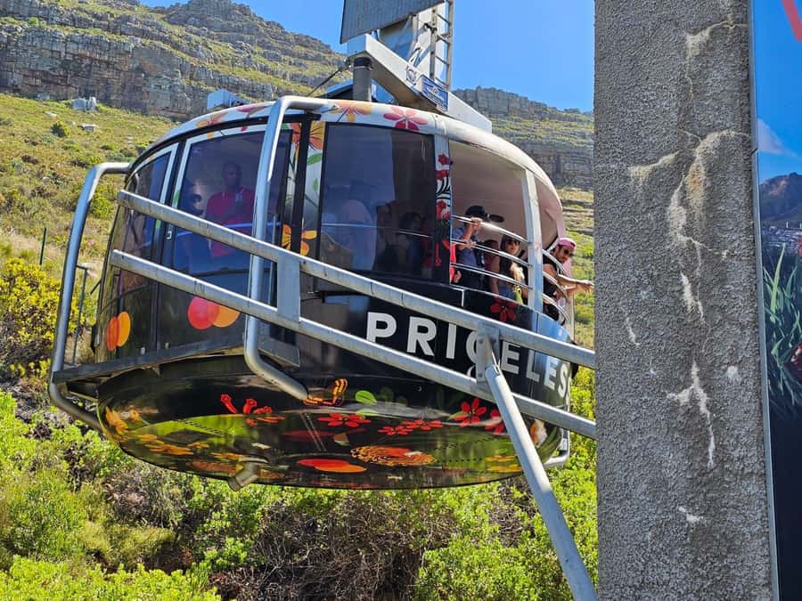Cape Town: Table Mountain, Cape Point, & Penguins Group Tour - Why this tour works for a first day in Cape Town