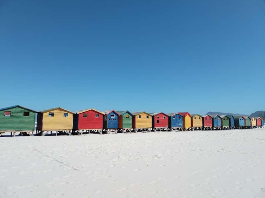 Cape Town: Table Mountain,Cape Point & Penguins Private Tour - The day at a glance