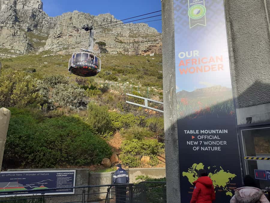 Cape Town: Table Mountain,Cape Point & Penguins Private Tour - Chapman’s Peak Drive and the Atlantic cliffs