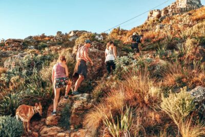 Table Mountain Hike via India Venster