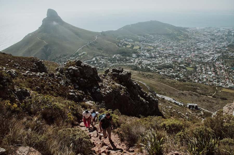 Cape Town: Table Mountain Hike with an Experienced Guide - Why a guide changes the mountain day