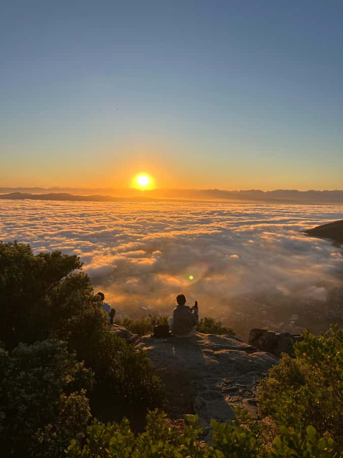 Cape Town: Table Mountain Hike with an Experienced Guide - Flora, fauna, and stories on the trail