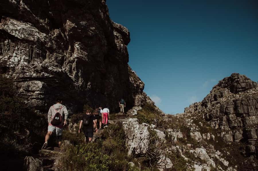 Cape Town: Table Mountain Hike with an Experienced Guide - The summit views and the descent