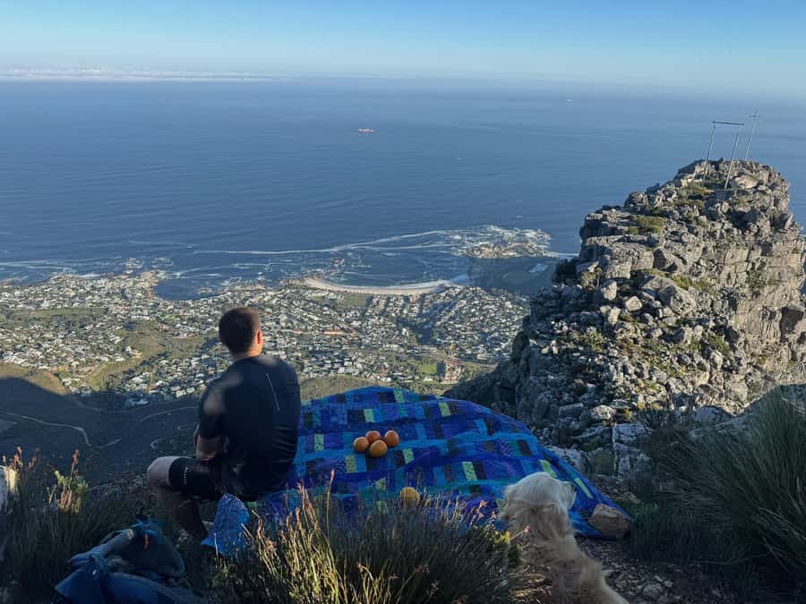 Cape Town: Table Mountain Hike with an Experienced Guide - Who should book this guided hike?