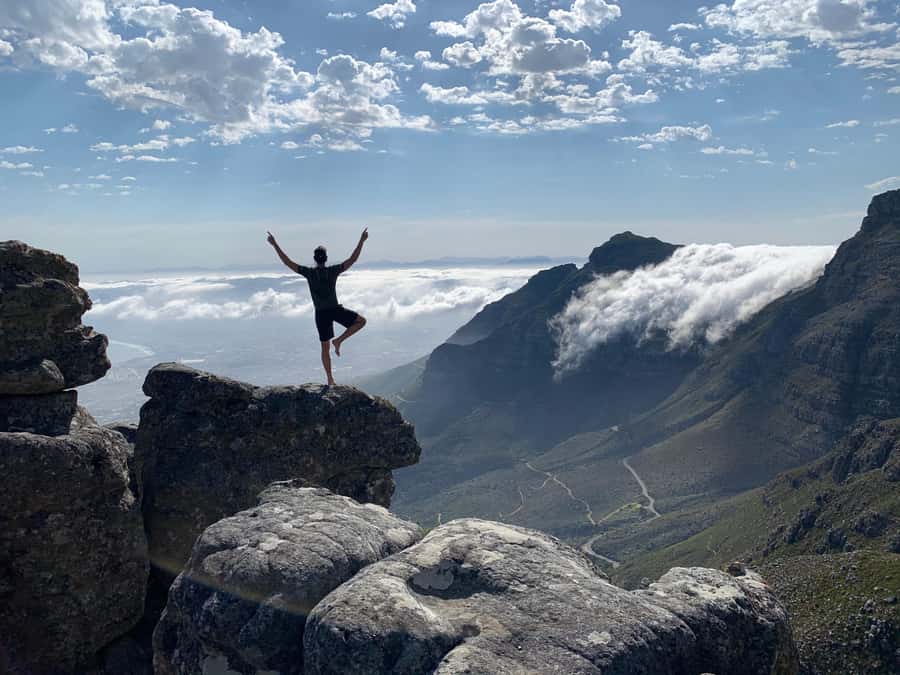 Cape Town: Table Mountain Hike with an Expert Guide - Fynbos gives the climb a sense of place