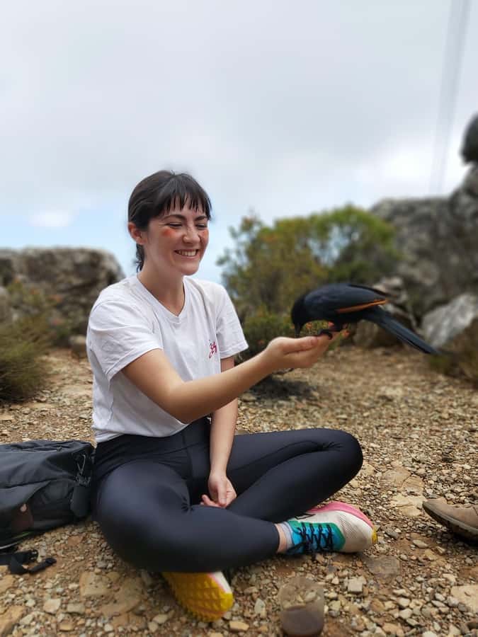 Cape Town: Table Mountain Hike with an Expert Guide - Choosing between India Venster, Platteklip, and Skeleton Gorge