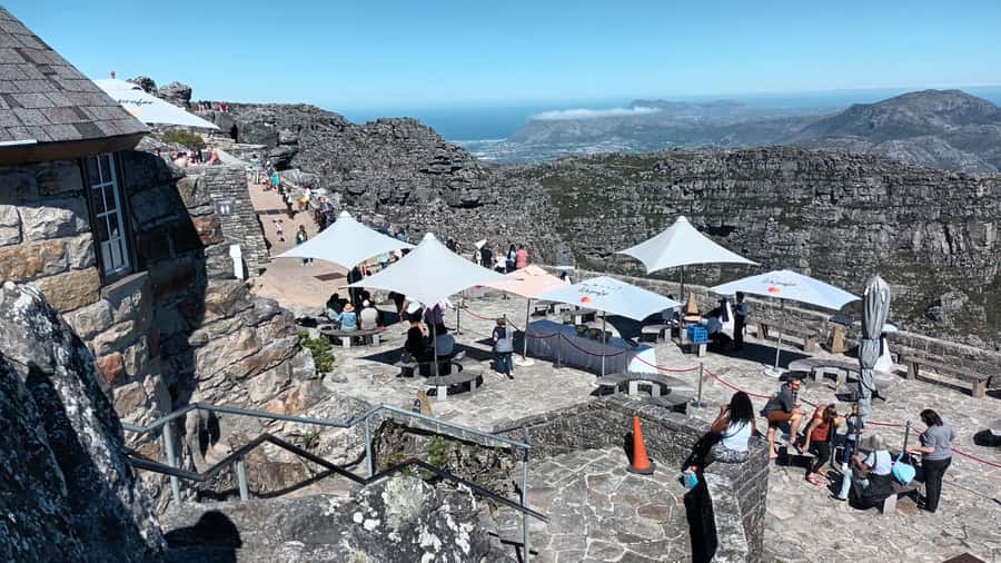 Cape Town:- Table Mountain including Hotel Transfer - Ninety minutes on top of Table Mountain
