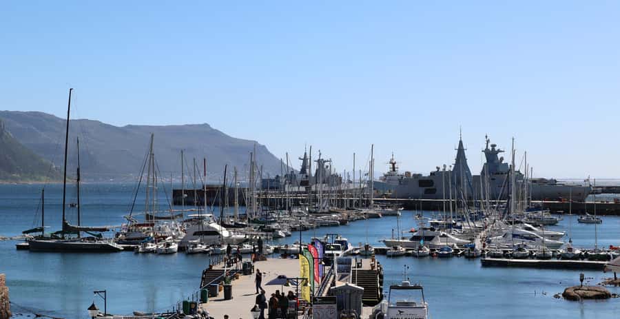 Cape Town: Table Mountain, Penguins & Cape Point Group Tour - Key points to know before booking