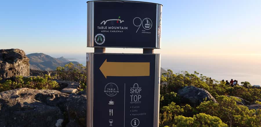 Cape Town: Table Mountain, Penguins & Cape Point Group Tour - Lunch in Simon’s Town