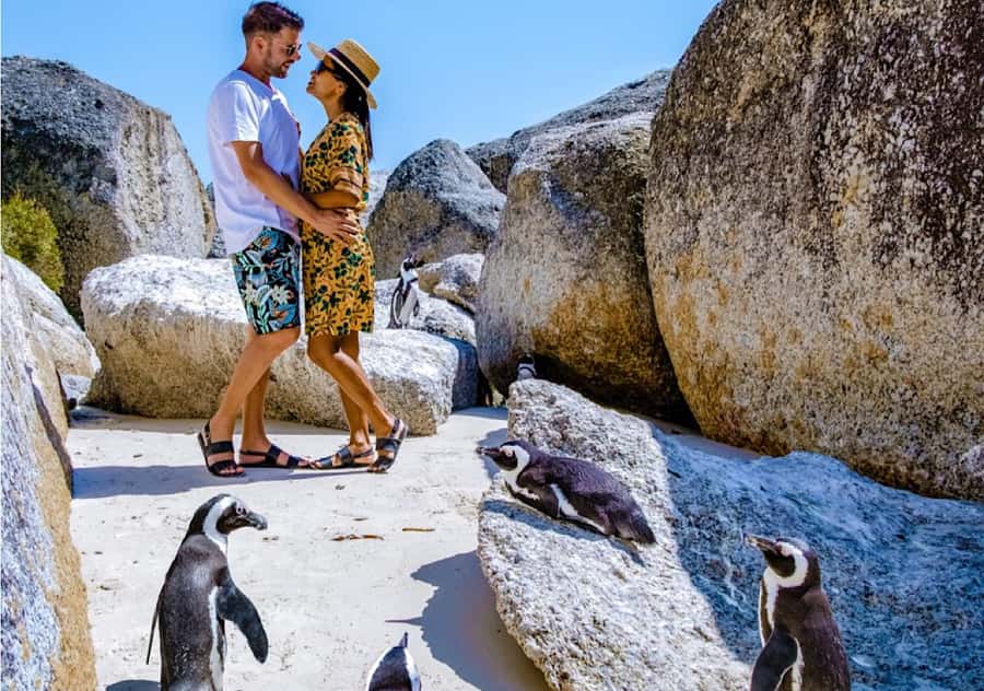 Cape Town: Table Mountain, Penguins & Cape Point Shared Tour - Camps Bay, Hout Bay, and Chapmans Peak