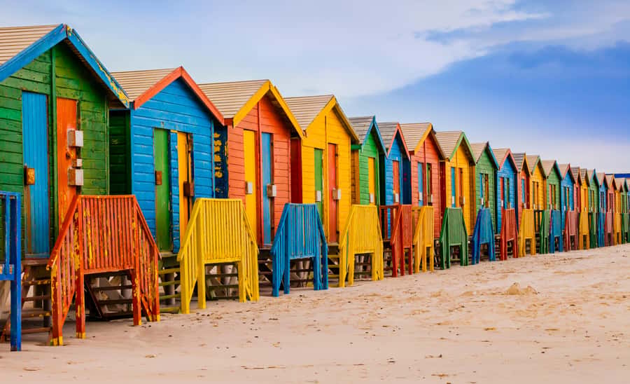 Cape Town: Table Mountain, Penguins & Cape Point Shared Tour - Noordhoek and the ostrich farm stop