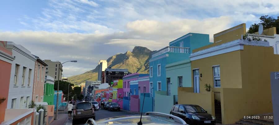 Cape Town: Table MT, Cape Point & Penguins Instagram Tour - Boulders Beach and African penguins at close range