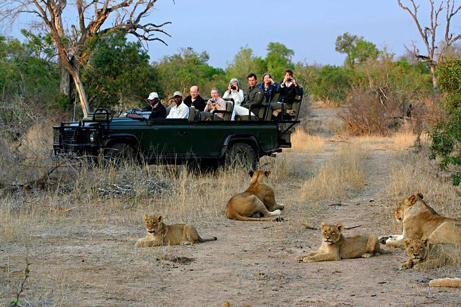 Cape Town - The Best of Aquila Safari Tour - The real appeal: a safari without changing hotels