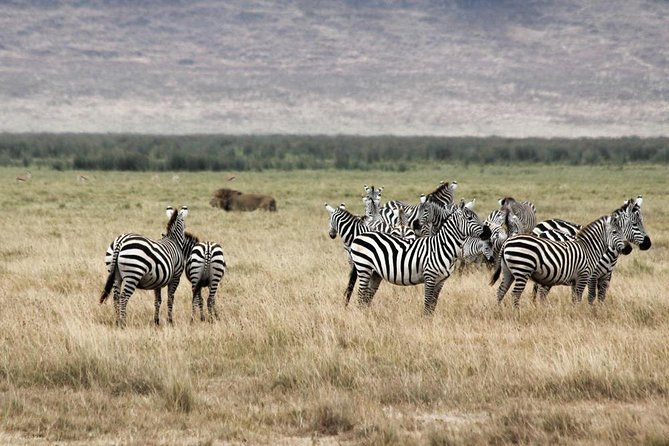 Cape Town - The Best of Aquila Safari Tour - Ceres Fruit Valley and the changing countryside