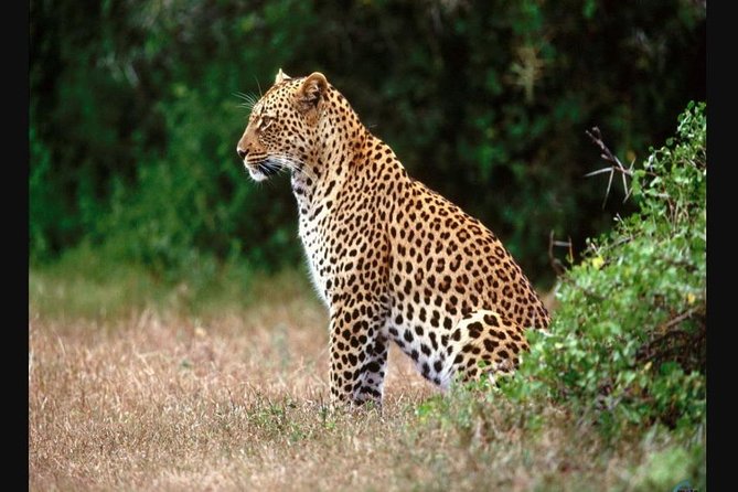 Cape Town to Durban & Garden Route - 7 day Private Safari - What this route does well
