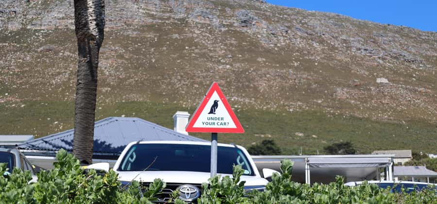 Cape Town: Tour Cape Point & Boulders Beach Penguin Day Trip - Cape Point and the lighthouse walk