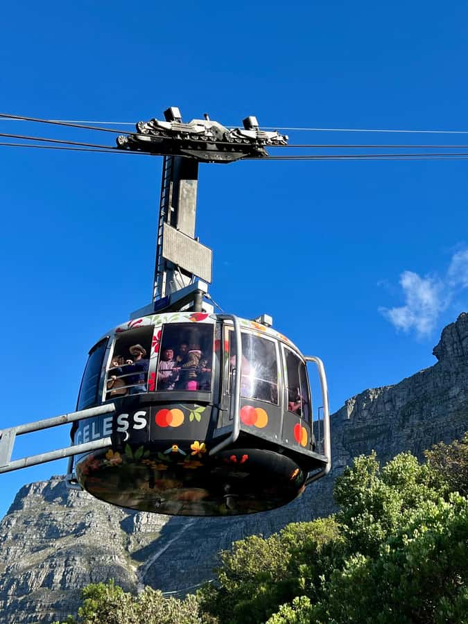 Cape Town Tour: Table Mountain, Penguins & Cape Point+Pickup - Table Mountain and the cableway gamble