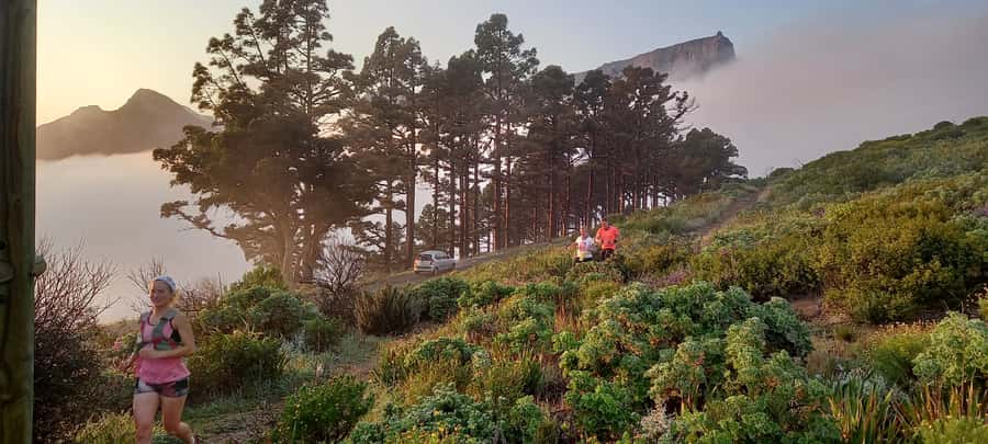 Cape Town: Trail Run Lion's Head and Signal Hill Morning - Key points before you book