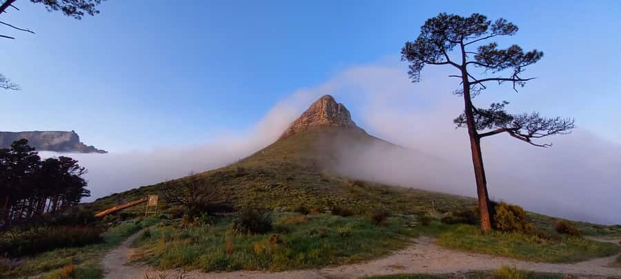 Cape Town: Trail Run Lion's Head and Signal Hill Morning - Why this run is different from a normal Cape Town tour
