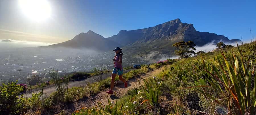 Cape Town: Trail Run Lion's Head and Signal Hill Morning - A gentler descent on Signal Hill’s eastern side