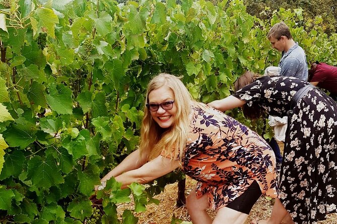 Cape town - Unique Private wine tour Blend & bottle own wine - Key Points at a Glance