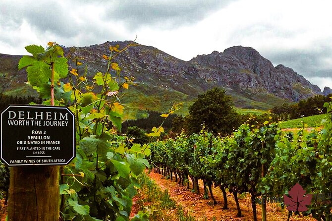 Cape town - Unique Private wine tour Blend & bottle own wine - First Stop: Cheese, Wine, and a Boutique Winemaker