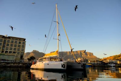V&A Waterfront 1-Hour Scenic Cruise