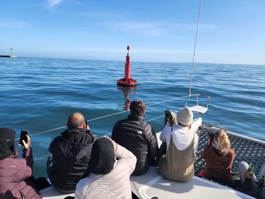 Cape Town: V&A Waterfront 1-Hour Scenic Cruise - Table Mountain and the Twelve Apostles from offshore