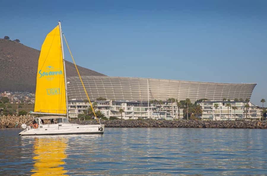 Cape Town: V&A Waterfront 1-Hour Scenic Cruise - Looking for seals, dolphins, penguins, and whales