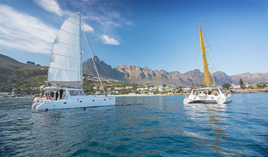 Cape Town: V&A Waterfront Gin Voyage Cruise - Key points to know before booking