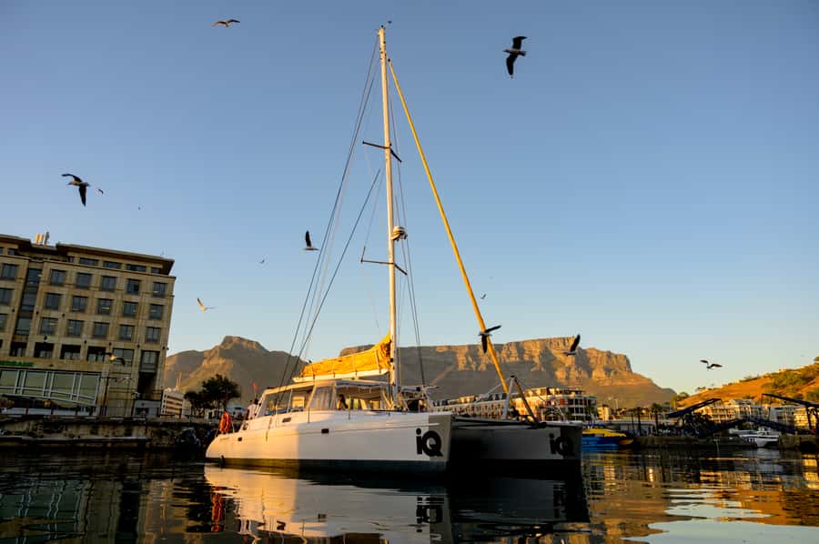 Cape Town: V&A Waterfront Gin Voyage Cruise - A one-hour cruise with a clear purpose