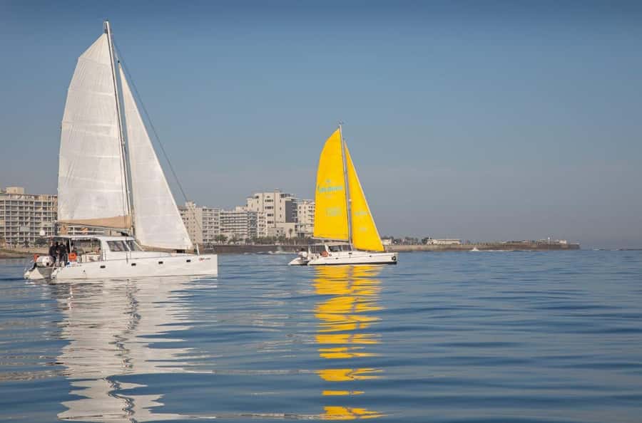 Cape Town: V&A Waterfront Gin Voyage Cruise - Sea air, photos, and possible wildlife