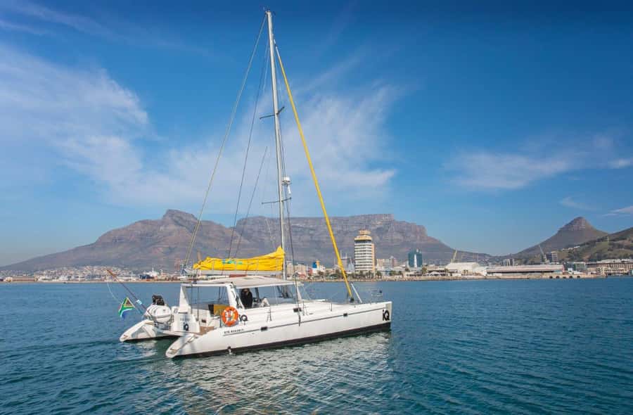Cape Town: V&A Waterfront Gin Voyage Cruise - Who will enjoy the Gin Voyage most?