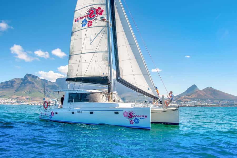 Cape Town Waterfront and Bay: Sailing Trip - The crew brings the personality