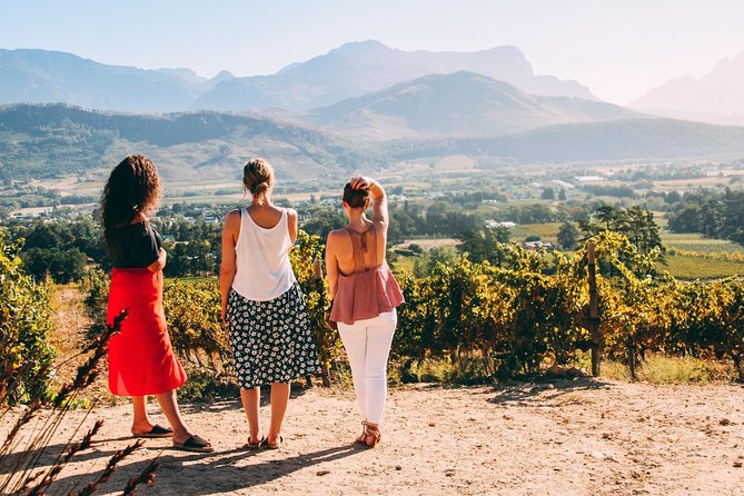Cape Town Wine Tasting - Tastings, food, and what to budget