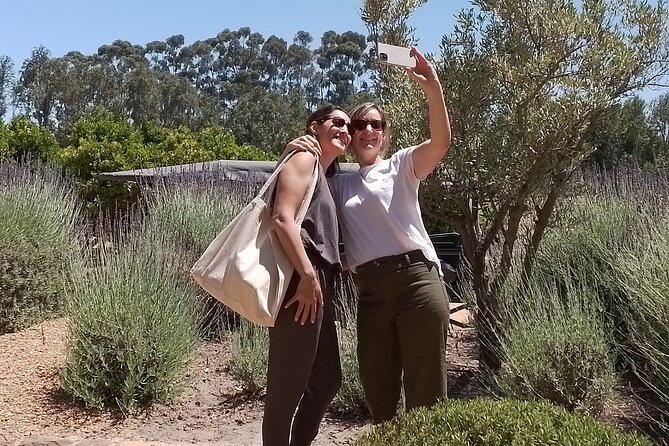 Cape Town Wine Tasting - Who should book this private tour?